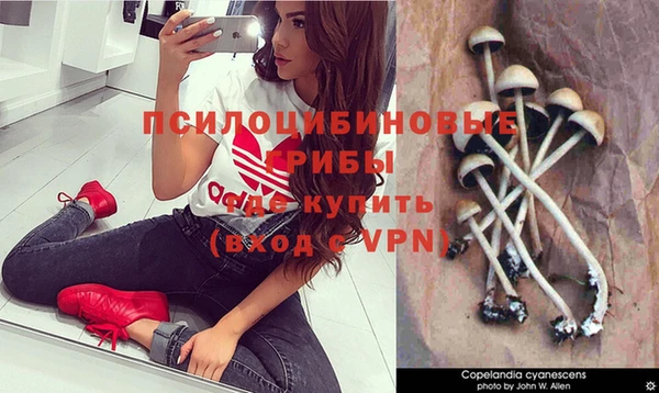 MESCALINE Абинск