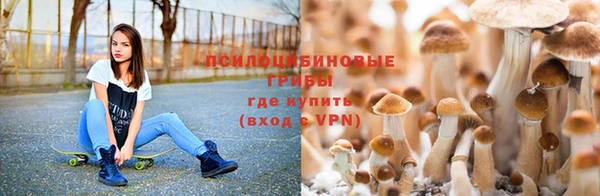 дурь Абдулино