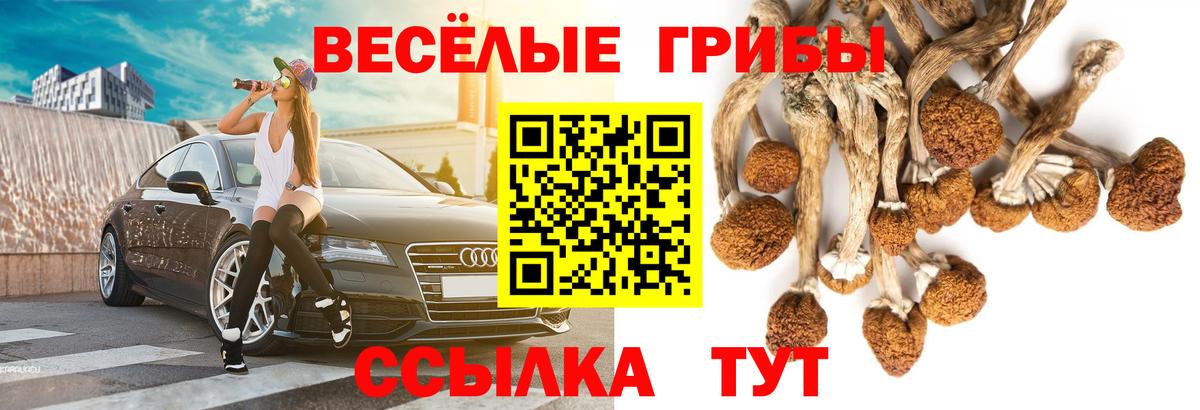Галлюциногенные грибы Cubensis  Вход с VPN  купить  сайты  Псилоцибиновые грибы Magic Shrooms  Шали 