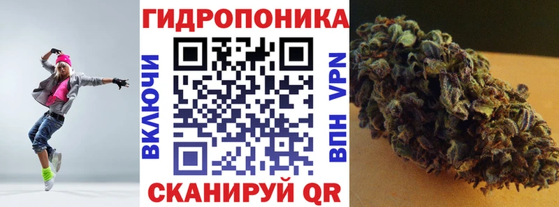 Канабис ГИДРОПОН  Шали 